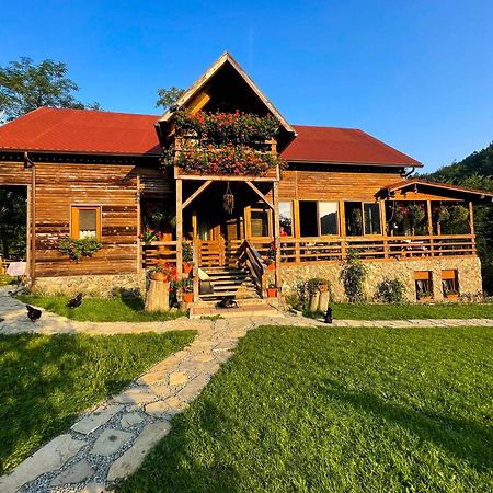 Cabana La domnu' de pe vale Villa Aiud Exterior foto