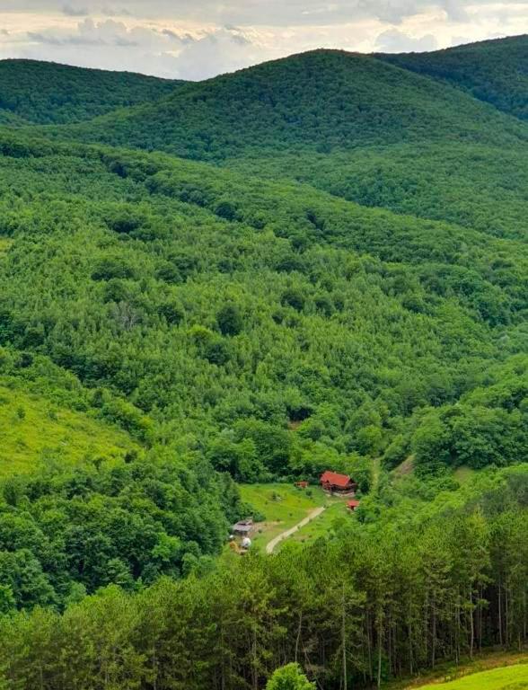 Cabana La domnu' de pe vale Villa Aiud Exterior foto