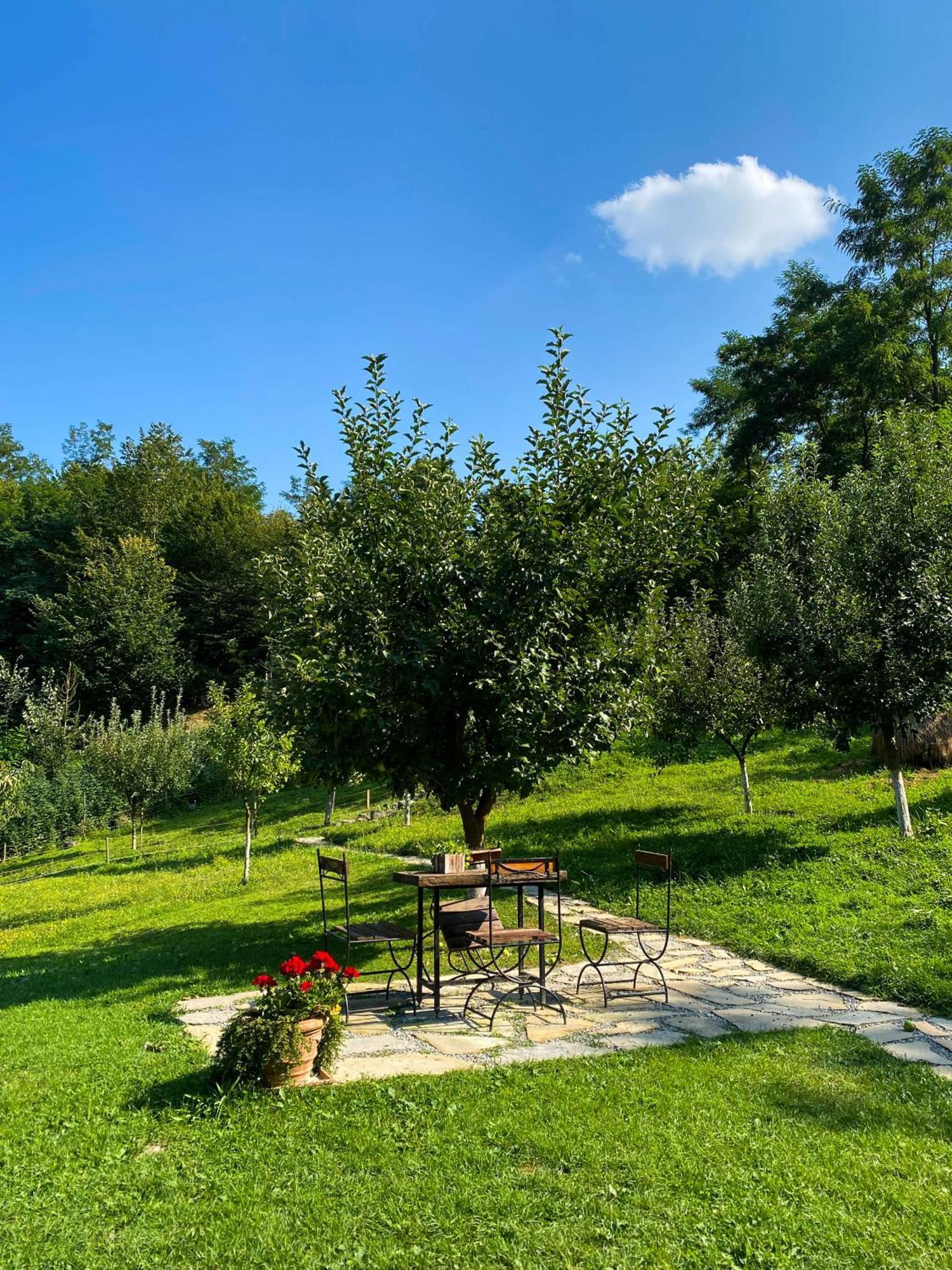 Cabana La domnu' de pe vale Villa Aiud Exterior foto
